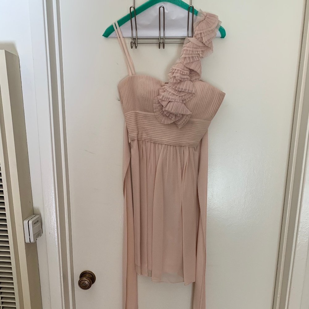 BCBGMaxazria Pink One Shoulder Ruffle Dress Sz0